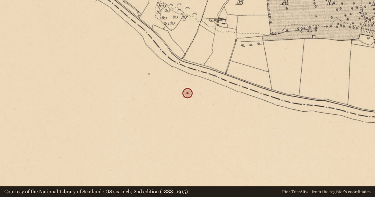 Ordnance Survey six-inch map, 2nd edition (1888–1915) covering the location of Graveslab, Churchtown, County Waterford, with a pin at the register's coordinates