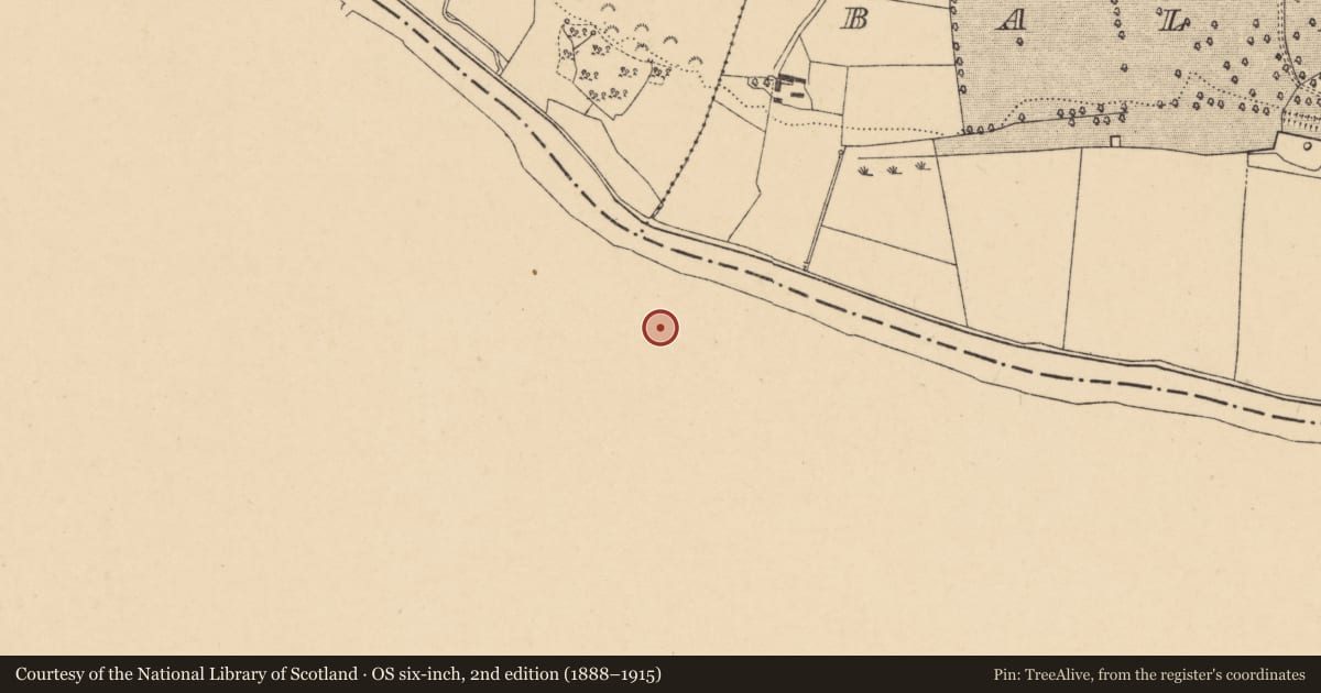 Ordnance Survey six-inch map, 2nd edition (1888–1915) covering the location of Armorial plaque, Churchtown, County Waterford, with a pin at the register's coordinates