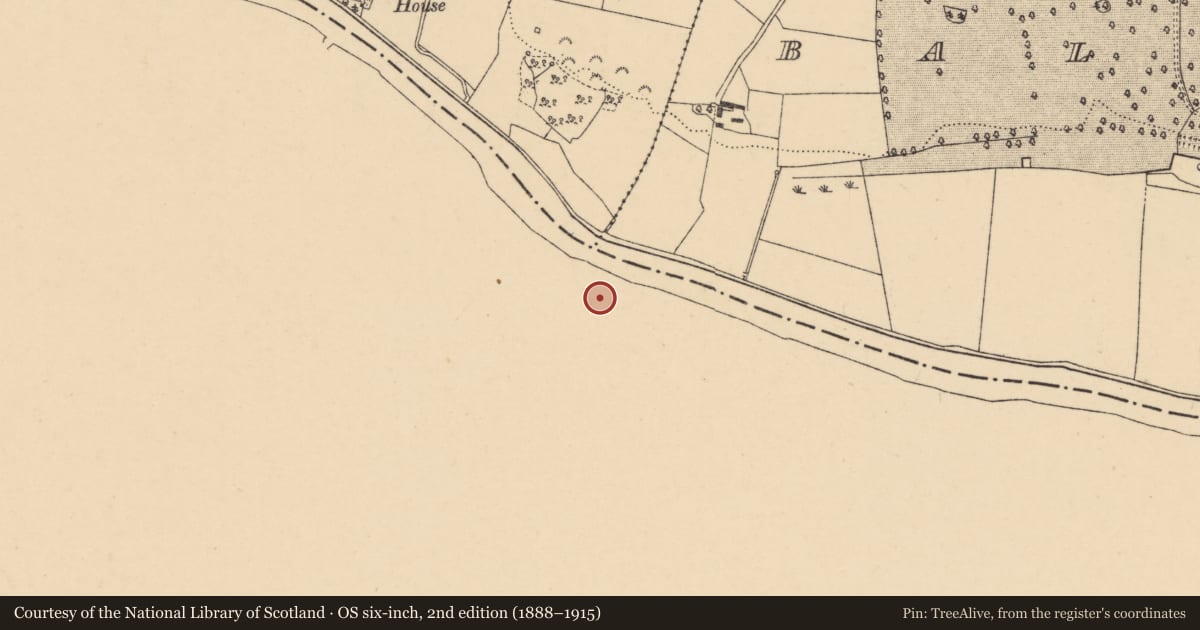 Ordnance Survey six-inch map, 2nd edition (1888–1915) covering the location of Armorial plaque, Churchtown, County Waterford, with a pin at the register's coordinates