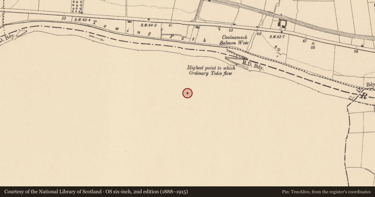 Ordnance Survey six-inch map, 2nd edition (1888–1915) covering the location of Ritual site - holy well, Coolnamuck Demesne, County Waterford, with a pin at the register's coordinates