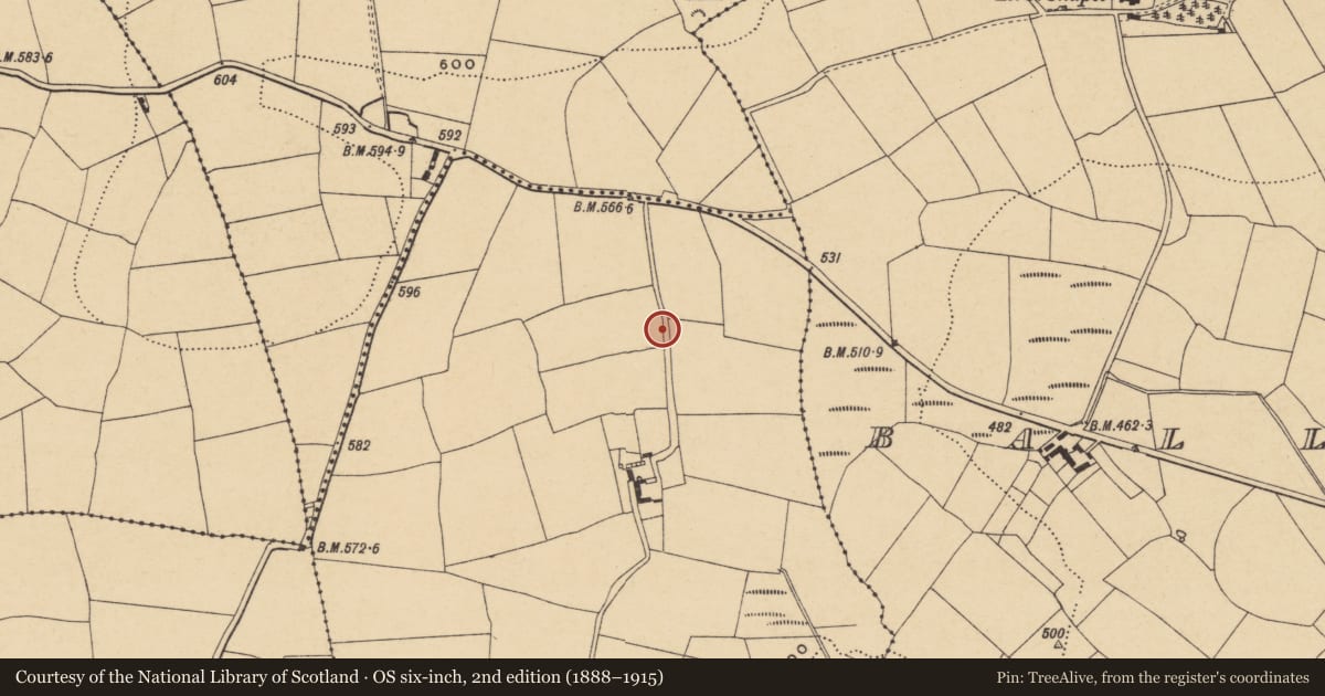 Ordnance Survey six-inch map, 2nd edition (1888–1915) covering the location of Enclosure, Ballingarra, County Waterford, with a pin at the register's coordinates