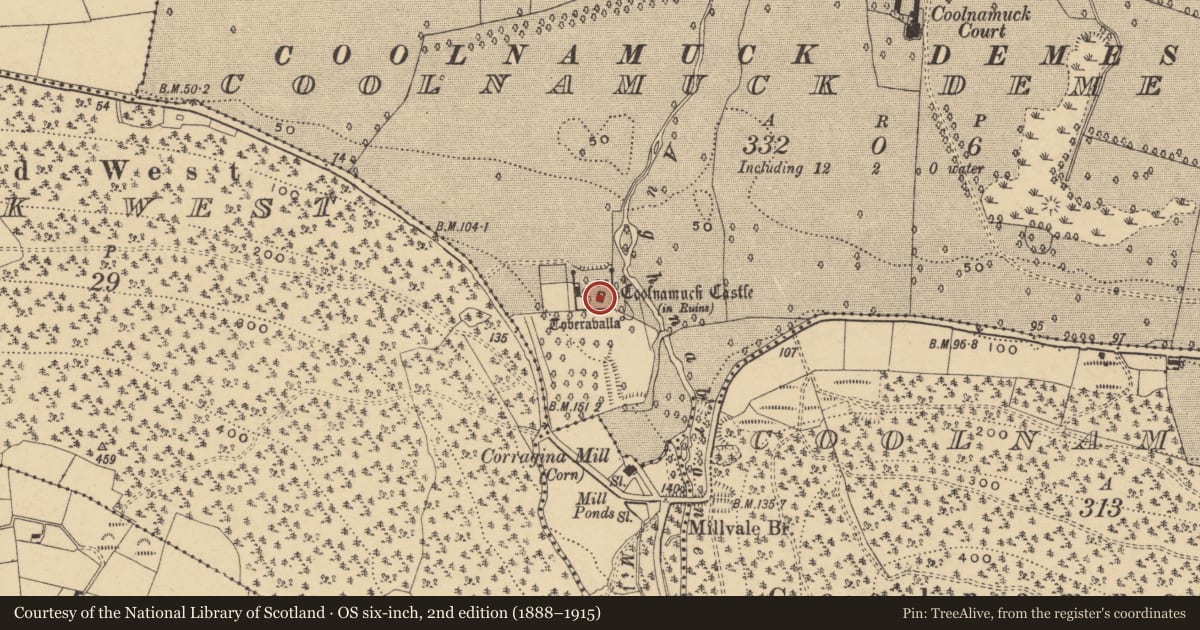 Ordnance Survey six-inch map, 2nd edition (1888–1915) covering the location of Castle - tower house, Coolnamuck Demesne, County Waterford, with a pin at the register's coordinates