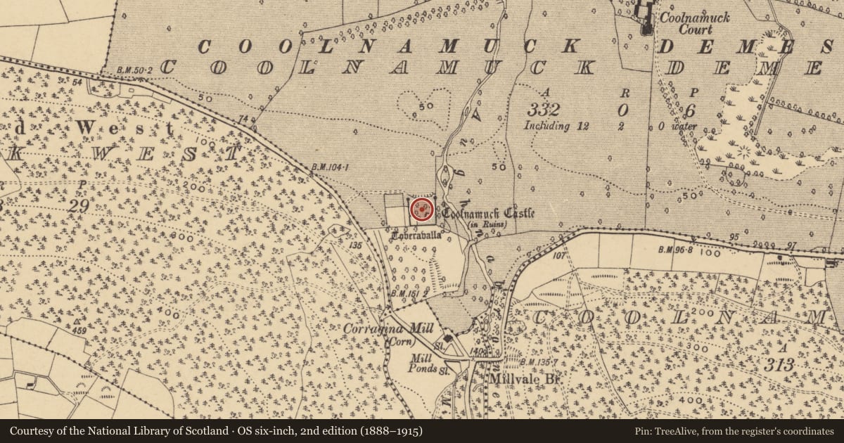 Ordnance Survey six-inch map, 2nd edition (1888–1915) covering the location of Bawn, Coolnamuck Demesne, County Waterford, with a pin at the register's coordinates