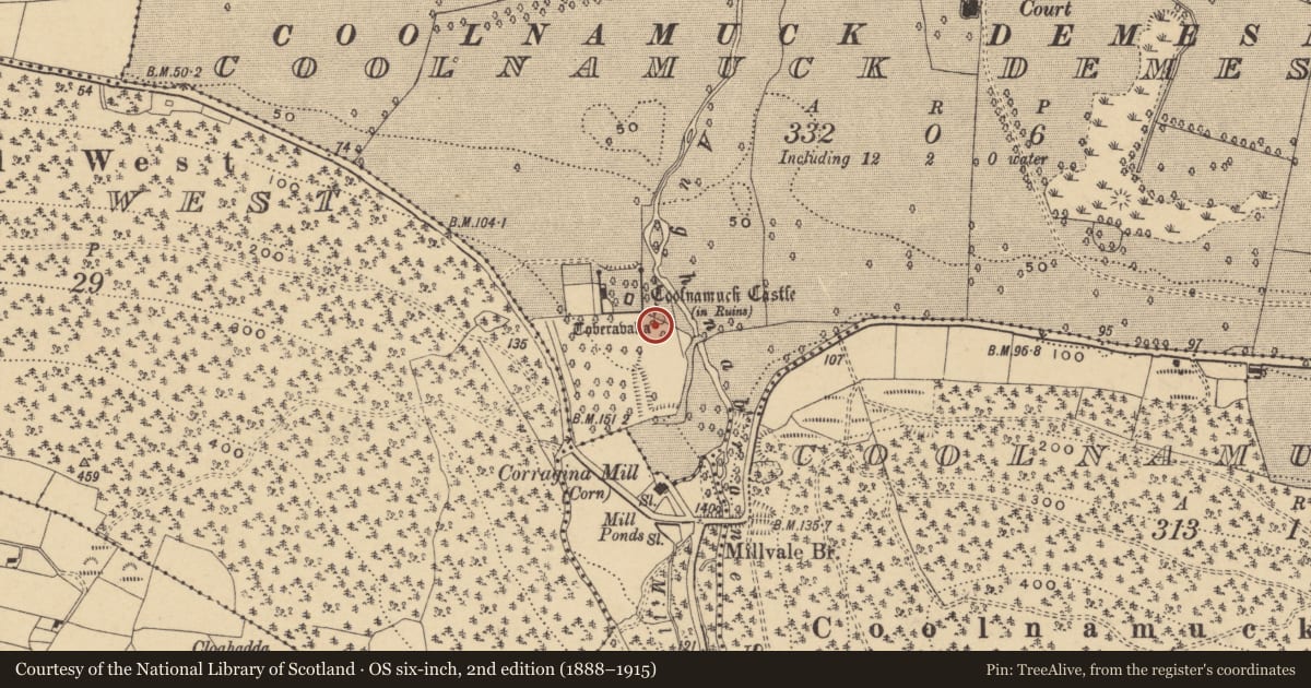 Ordnance Survey six-inch map, 2nd edition (1888–1915) covering the location of Well, Coolnamuck Demesne, County Waterford, with a pin at the register's coordinates