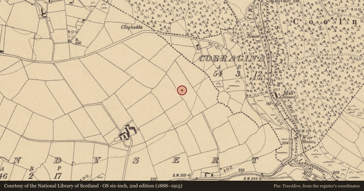 Ordnance Survey six-inch map, 2nd edition (1888–1915) covering the location of Enclosure, Ballindysert, County Waterford, with a pin at the register's coordinates