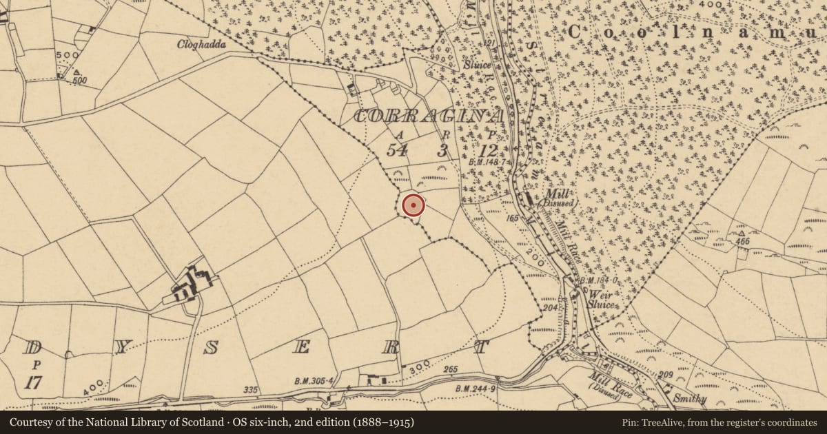 Ordnance Survey six-inch map, 2nd edition (1888–1915) covering the location of Enclosure, Ballindysert, Corragina, County Waterford, with a pin at the register's coordinates