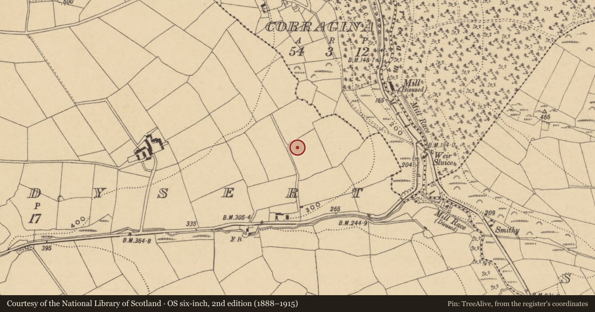 Ordnance Survey six-inch map, 2nd edition (1888–1915) covering the location of Ringfort - unclassified, Ballindysert, County Waterford, with a pin at the register's coordinates