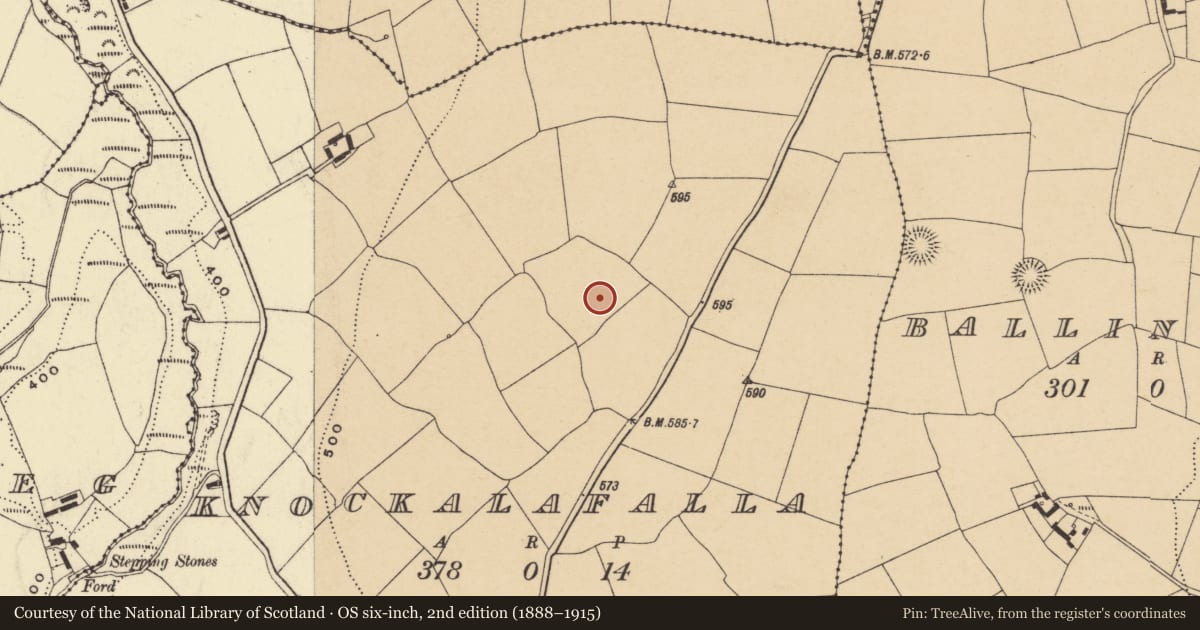 Ordnance Survey six-inch map, 2nd edition (1888–1915) covering the location of Enclosure, Knockalafalla, County Waterford, with a pin at the register's coordinates
