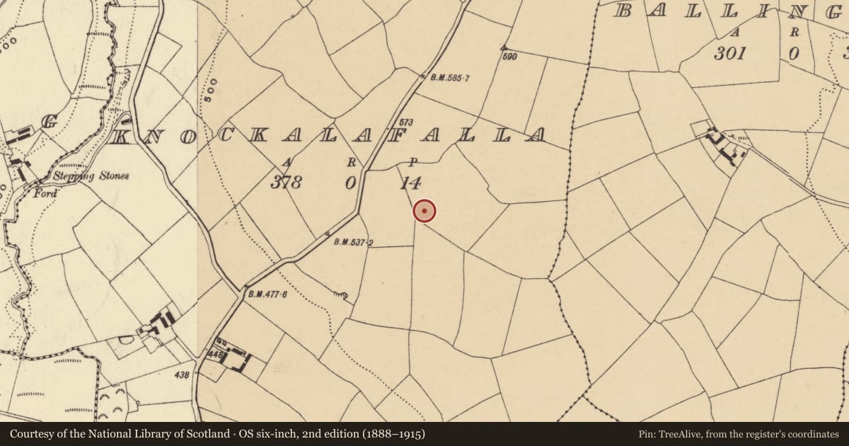 Ordnance Survey six-inch map, 2nd edition (1888–1915) covering the location of Enclosure, Knockalafalla, County Waterford, with a pin at the register's coordinates
