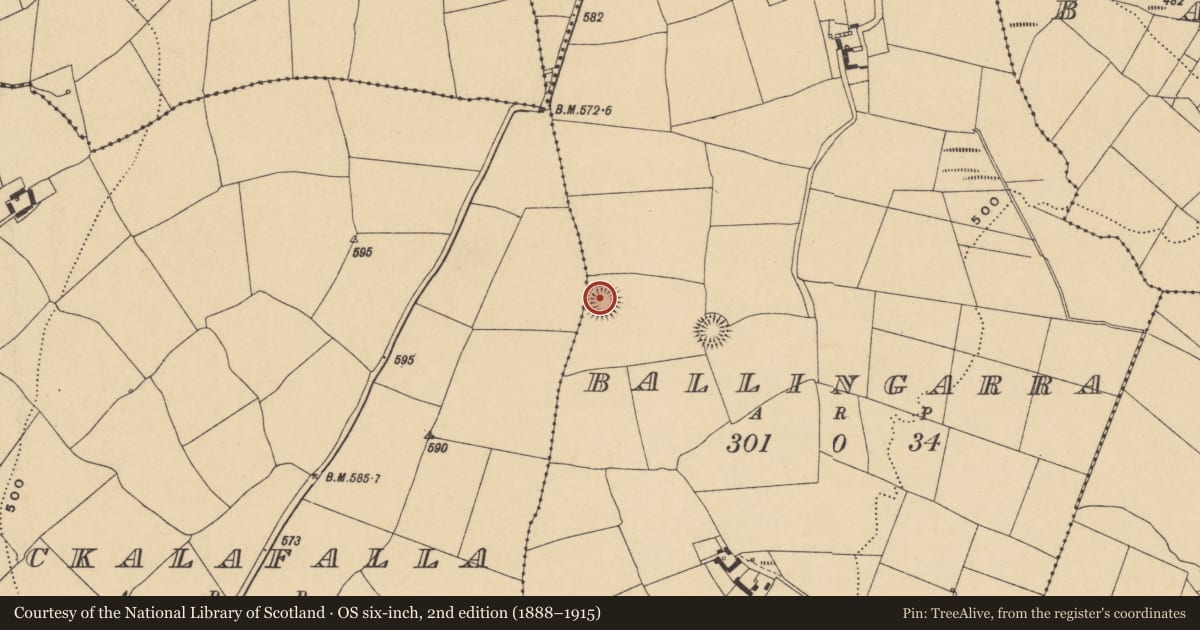 Ordnance Survey six-inch map, 2nd edition (1888–1915) covering the location of Enclosure, Ballingarra, County Waterford, with a pin at the register's coordinates
