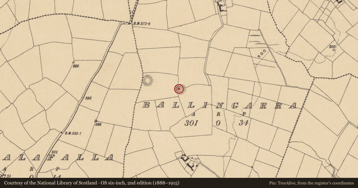 Ordnance Survey six-inch map, 2nd edition (1888–1915) covering the location of Enclosure, Ballingarra, County Waterford, with a pin at the register's coordinates