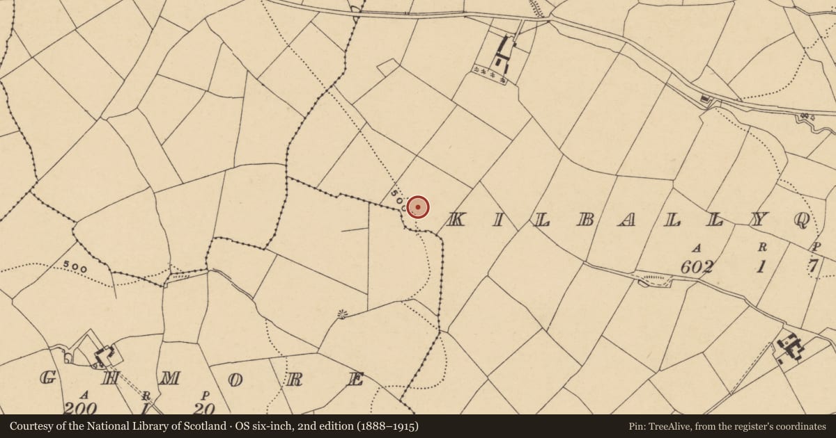 Ordnance Survey six-inch map, 2nd edition (1888–1915) covering the location of Ecclesiastical enclosure, Aughmore, Kilballyquilty, County Waterford, with a pin at the register's coordinates