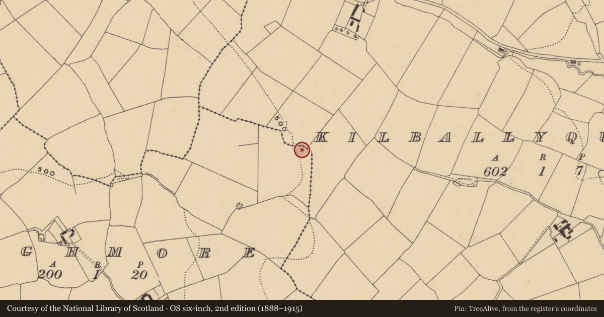 Ordnance Survey six-inch map, 2nd edition (1888–1915) covering the location of Enclosure, Aughmore, Kilballyquilty, County Waterford, with a pin at the register's coordinates