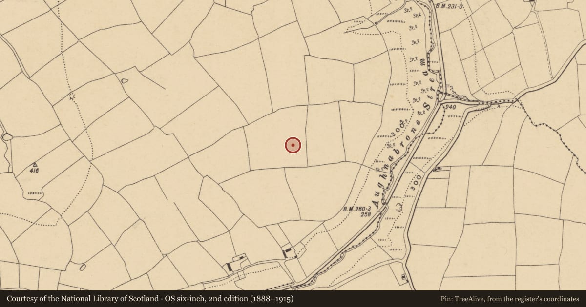 Ordnance Survey six-inch map, 2nd edition (1888–1915) covering the location of Earthwork, Ballindysert, County Waterford, with a pin at the register's coordinates