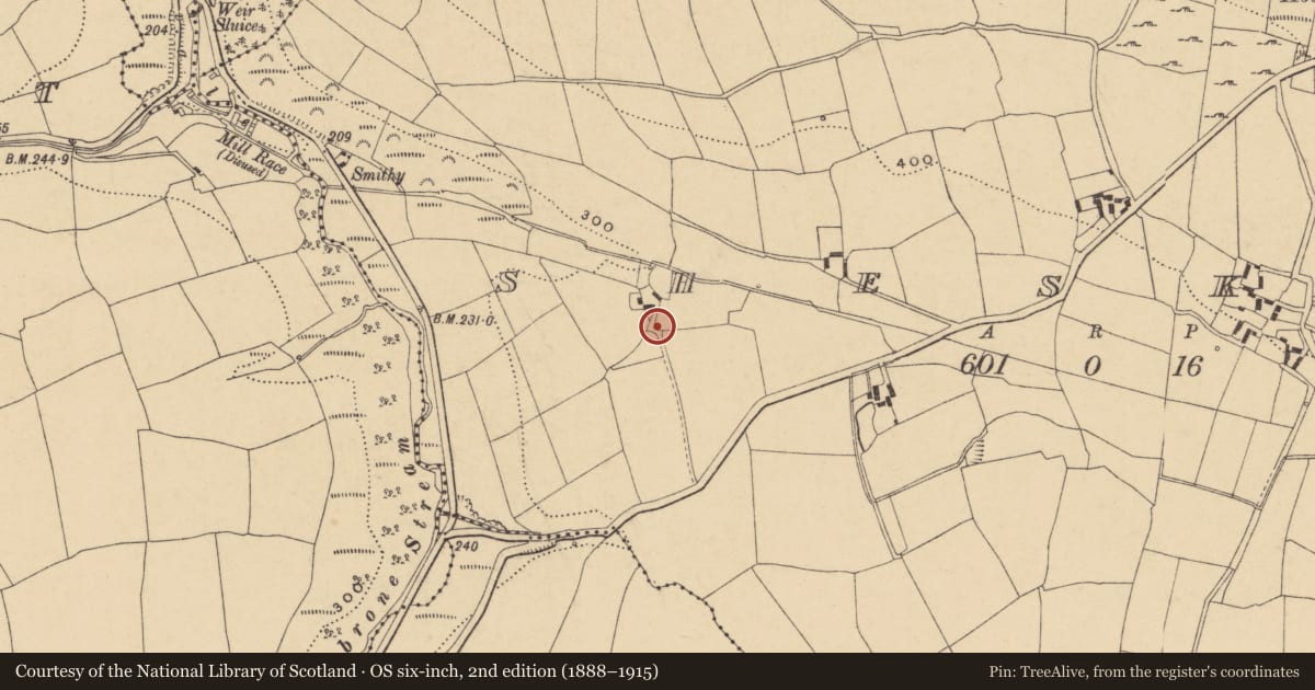 Ordnance Survey six-inch map, 2nd edition (1888–1915) covering the location of Megalithic tomb - portal tomb, Sheskin, County Waterford, with a pin at the register's coordinates