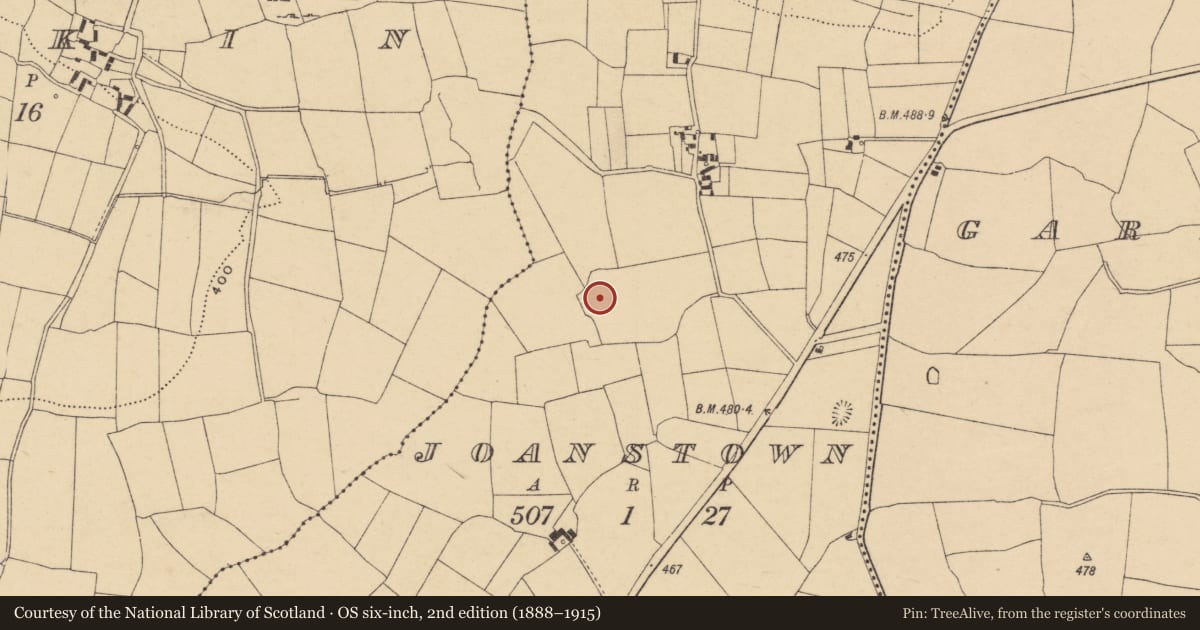 Ordnance Survey six-inch map, 2nd edition (1888–1915) covering the location of Enclosure, Joanstown, County Waterford, with a pin at the register's coordinates