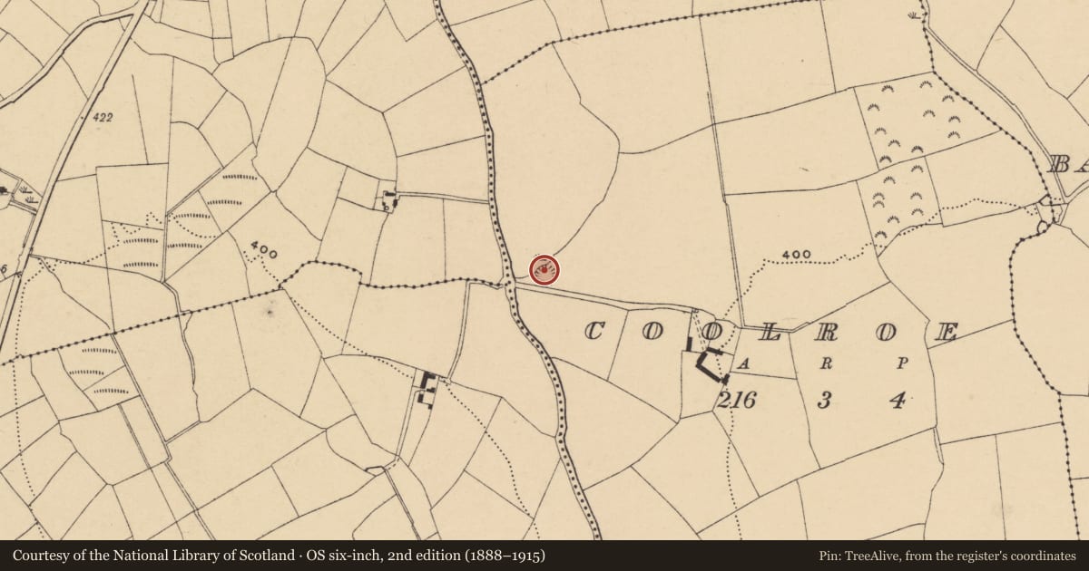 Ordnance Survey six-inch map, 2nd edition (1888–1915) covering the location of Ringfort - unclassified, Coolroe (Upperthird By., Mothel Par.), County Waterford, with a pin at the register's coordinates