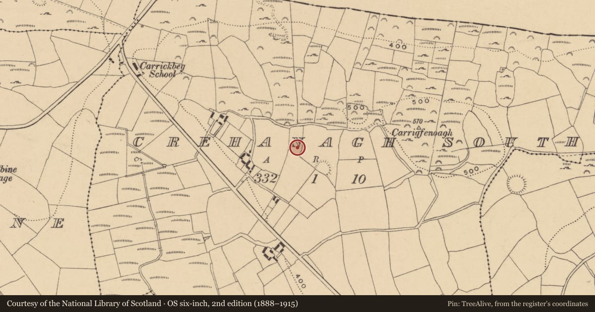 Ordnance Survey six-inch map, 2nd edition (1888–1915) covering the location of Enclosure, Crehanagh South, County Waterford, with a pin at the register's coordinates