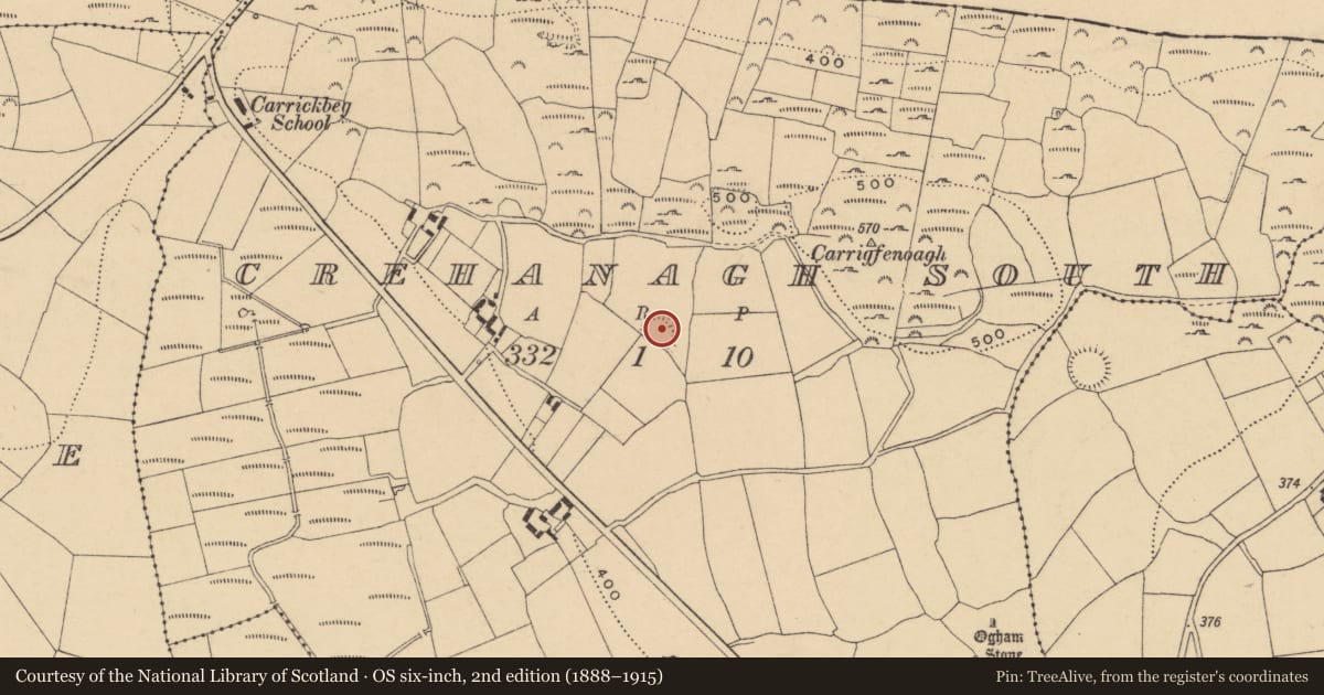 Ordnance Survey six-inch map, 2nd edition (1888–1915) covering the location of Ringfort - rath, Crehanagh South, County Waterford, with a pin at the register's coordinates
