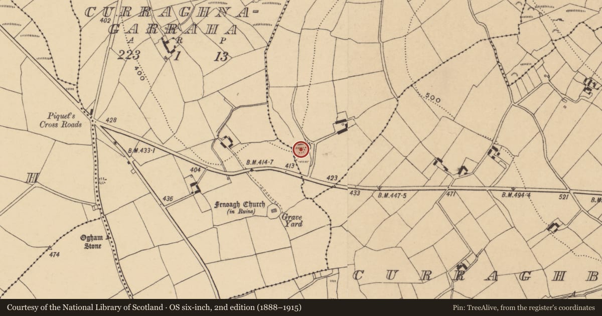 Ordnance Survey six-inch map, 2nd edition (1888–1915) covering the location of Burnt mound, Reatagh, County Waterford, with a pin at the register's coordinates