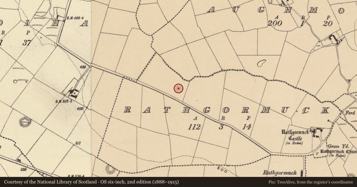 Ordnance Survey six-inch map, 2nd edition (1888–1915) covering the location of Earthwork, Rathgormuck, County Waterford, with a pin at the register's coordinates