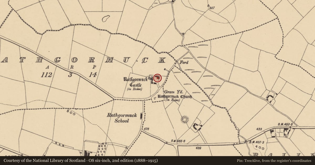 Ordnance Survey six-inch map, 2nd edition (1888–1915) covering the location of Castle - unclassified, Rathgormuck, County Waterford, with a pin at the register's coordinates