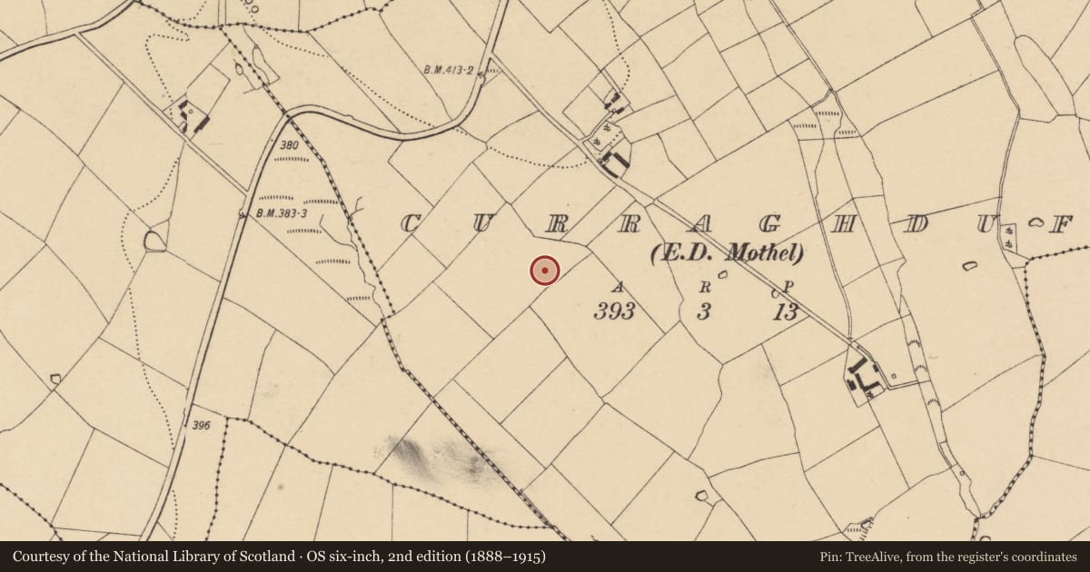 Ordnance Survey six-inch map, 2nd edition (1888–1915) covering the location of Ringfort - rath, Curraghduff (Upperthird By., Mothel Par.), County Waterford, with a pin at the register's coordinates