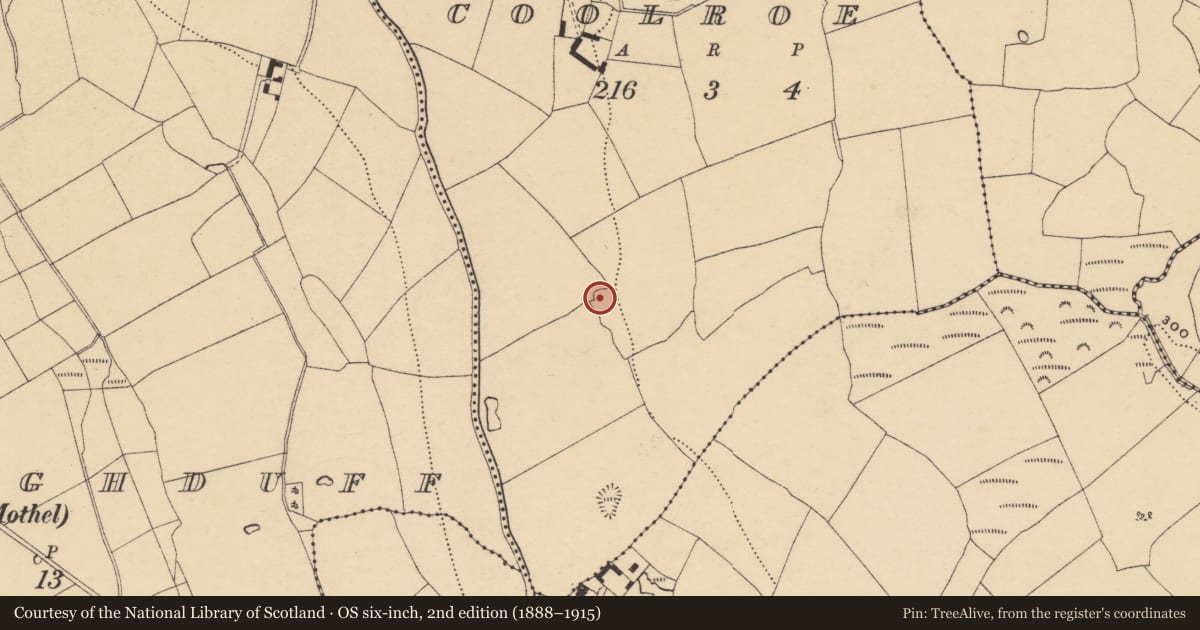 Ordnance Survey six-inch map, 2nd edition (1888–1915) covering the location of Ringfort - unclassified, Coolroe (Upperthird By., Mothel Par.), County Waterford, with a pin at the register's coordinates