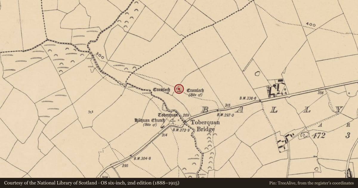 Ordnance Survey six-inch map, 2nd edition (1888–1915) covering the location of Megalithic structure, Ballyquin, County Waterford, with a pin at the register's coordinates