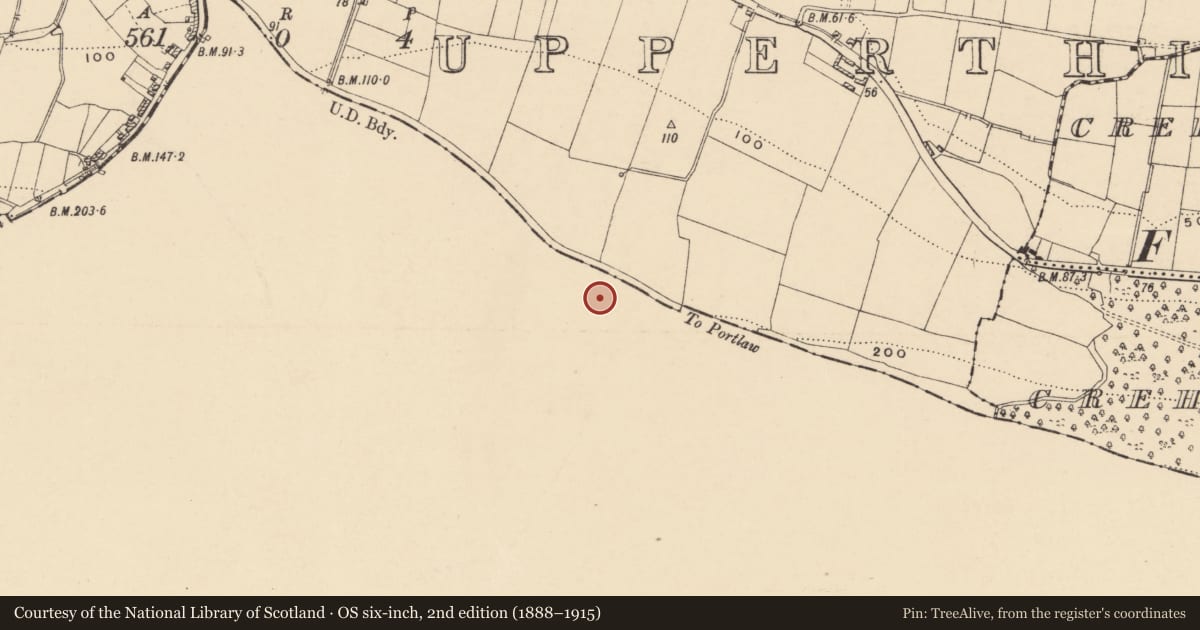 Ordnance Survey six-inch map, 2nd edition (1888–1915) covering the location of Standing stone, Carrickbeg, County Waterford, with a pin at the register's coordinates