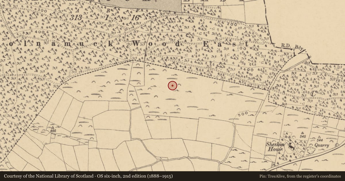 Ordnance Survey six-inch map, 2nd edition (1888–1915) covering the location of Standing stone - pair, Sheskin, County Waterford, with a pin at the register's coordinates