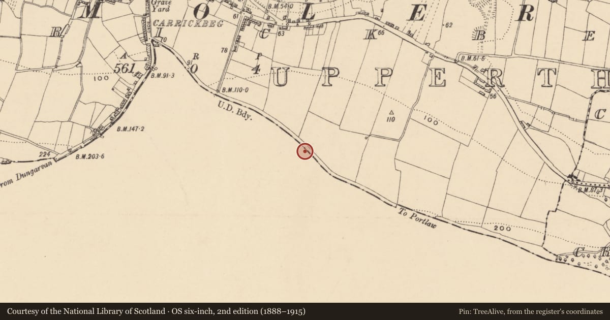 Ordnance Survey six-inch map, 2nd edition (1888–1915) covering the location of Standing stone, Carrickbeg, County Waterford, with a pin at the register's coordinates