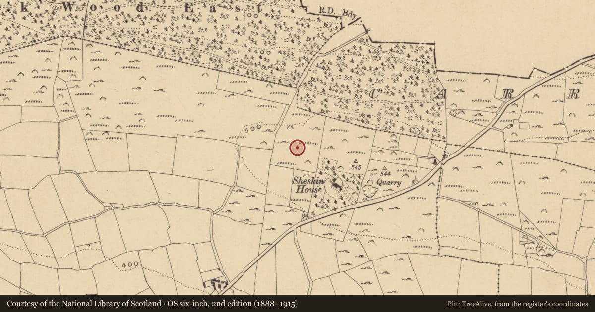 Ordnance Survey six-inch map, 2nd edition (1888–1915) covering the location of Enclosure, Sheskin, County Waterford, with a pin at the register's coordinates