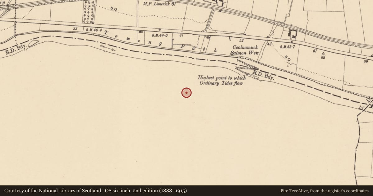 Ordnance Survey six-inch map, 2nd edition (1888–1915) covering the location of Burnt mound, Coolnamuck Demesne, County Waterford, with a pin at the register's coordinates
