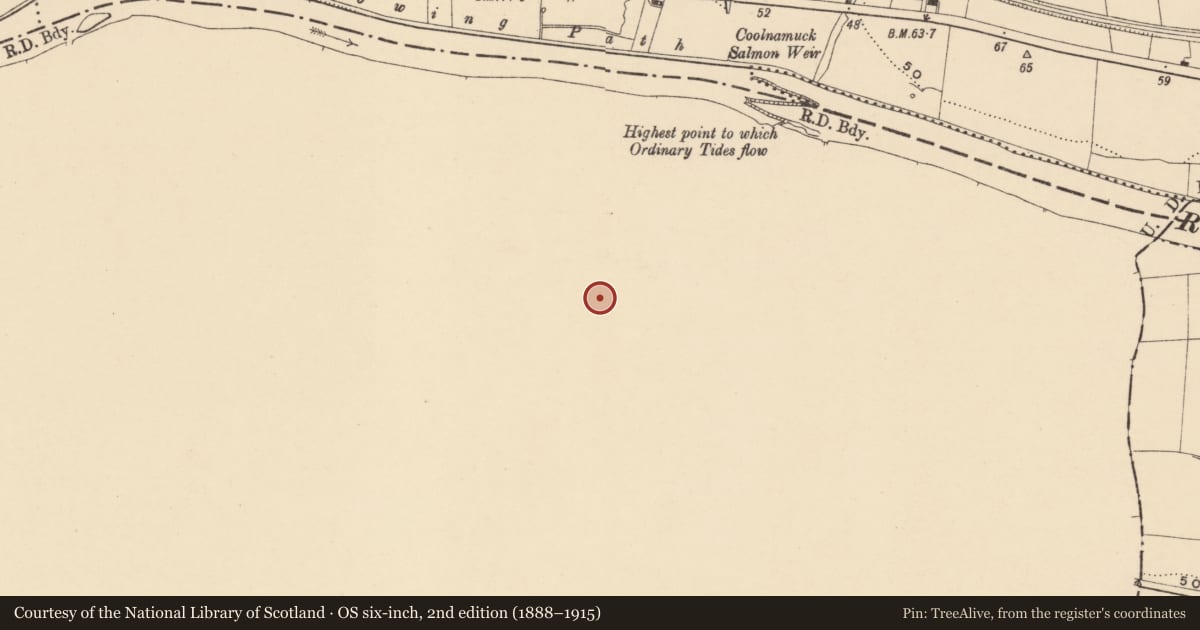 Ordnance Survey six-inch map, 2nd edition (1888–1915) covering the location of Burnt mound, Coolnamuck Demesne, County Waterford, with a pin at the register's coordinates