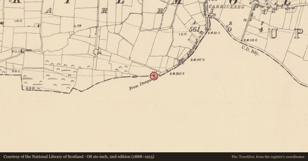 Ordnance Survey six-inch map, 2nd edition (1888–1915) covering the location of Boundary stone, Carrickbeg, County Waterford, with a pin at the register's coordinates