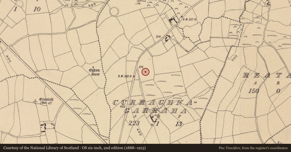 Ordnance Survey six-inch map, 2nd edition (1888–1915) covering the location of Fulacht fia, Curraghnagarraha, County Waterford, with a pin at the register's coordinates