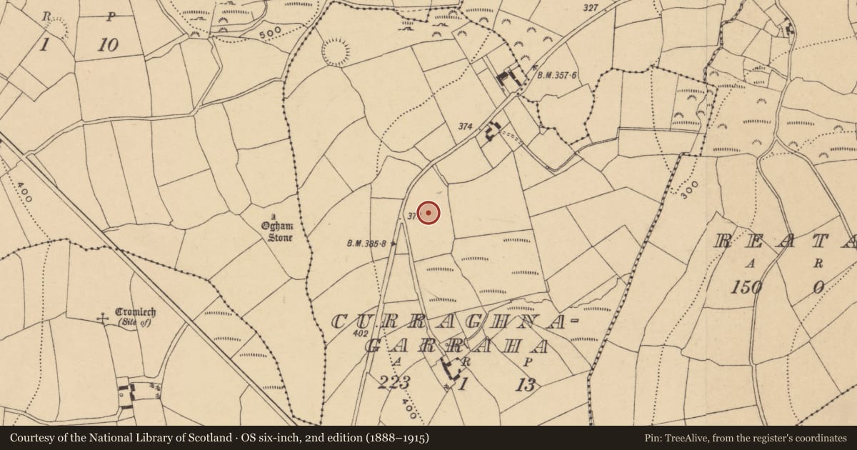 Ordnance Survey six-inch map, 2nd edition (1888–1915) covering the location of Fulacht fia, Curraghnagarraha, County Waterford, with a pin at the register's coordinates
