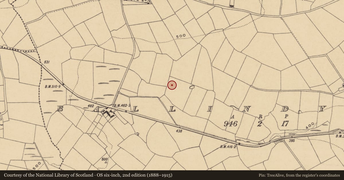 Ordnance Survey six-inch map, 2nd edition (1888–1915) covering the location of Enclosure, Ballindysert, County Waterford, with a pin at the register's coordinates