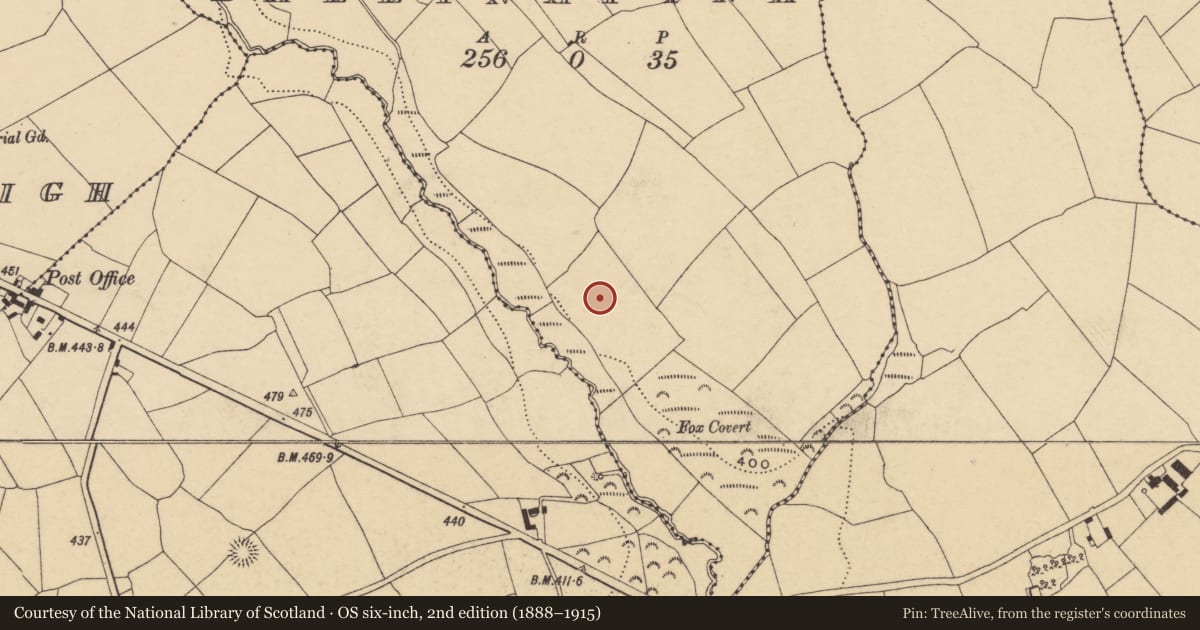 Ordnance Survey six-inch map, 2nd edition (1888–1915) covering the location of Standing stone, Ballynafina, County Waterford, with a pin at the register's coordinates
