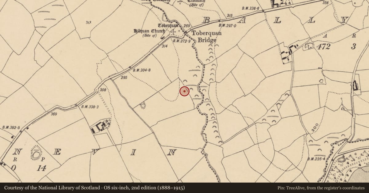 Ordnance Survey six-inch map, 2nd edition (1888–1915) covering the location of Enclosure, Ballynevin, County Waterford, with a pin at the register's coordinates
