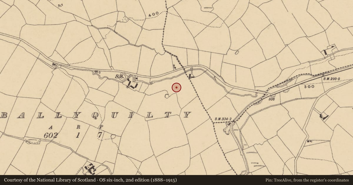 Ordnance Survey six-inch map, 2nd edition (1888–1915) covering the location of Cist, Kilballyquilty, County Waterford, with a pin at the register's coordinates