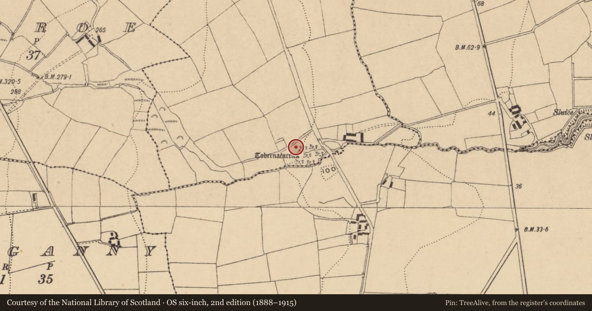 Ordnance Survey six-inch map, 2nd edition (1888–1915) covering the location of Well, Mountbolton, County Waterford, with a pin at the register's coordinates