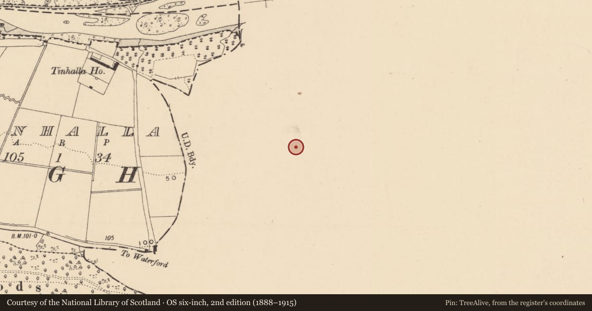 Ordnance Survey six-inch map, 2nd edition (1888–1915) covering the location of Church, Tinhalla, County Waterford, with a pin at the register's coordinates