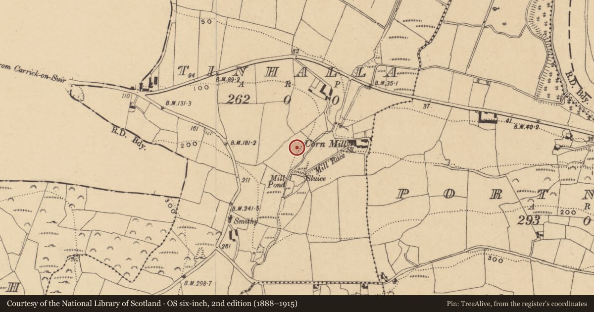 Ordnance Survey six-inch map, 2nd edition (1888–1915) covering the location of Burnt mound, Tinhalla, County Waterford, with a pin at the register's coordinates
