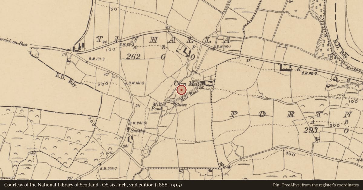 Ordnance Survey six-inch map, 2nd edition (1888–1915) covering the location of Burnt mound, Tinhalla, County Waterford, with a pin at the register's coordinates