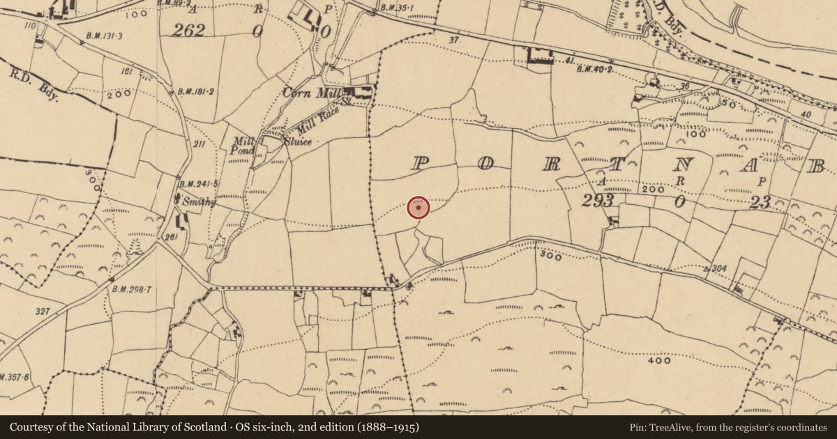 Ordnance Survey six-inch map, 2nd edition (1888–1915) covering the location of Burnt mound, Portnaboe, County Waterford, with a pin at the register's coordinates