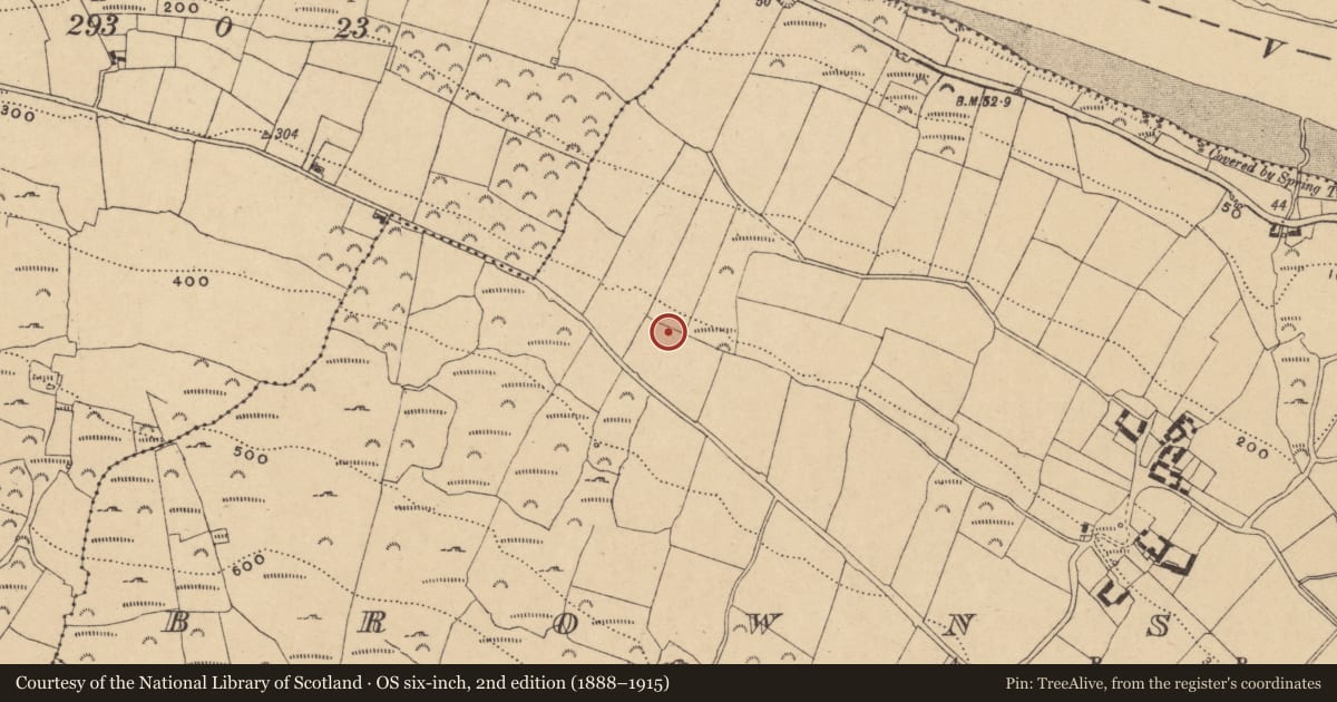 Ordnance Survey six-inch map, 2nd edition (1888–1915) covering the location of Burnt mound, Brownswood, County Waterford, with a pin at the register's coordinates
