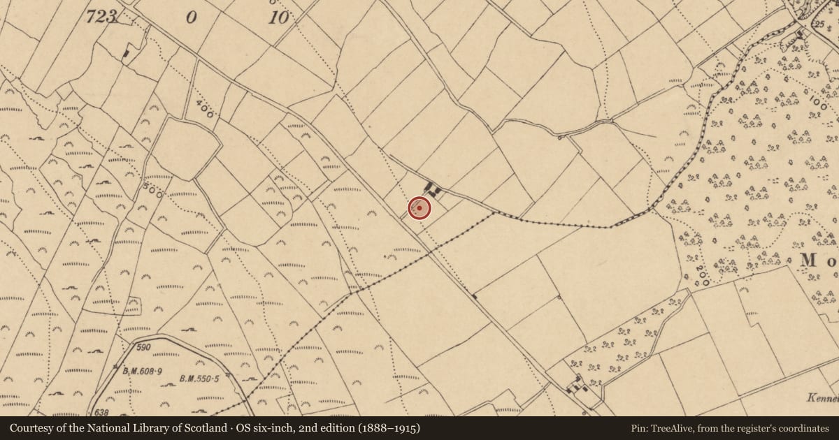 Ordnance Survey six-inch map, 2nd edition (1888–1915) covering the location of Burnt mound, Brownswood, County Waterford, with a pin at the register's coordinates