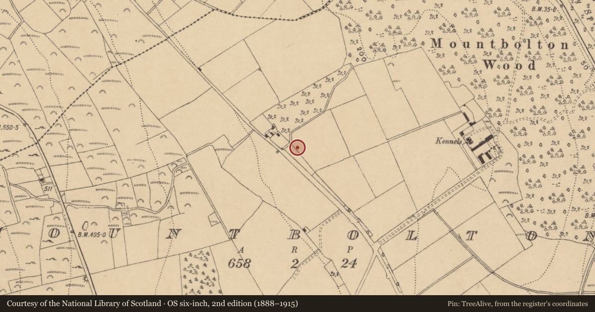 Ordnance Survey six-inch map, 2nd edition (1888–1915) covering the location of Burnt mound, Mountbolton, County Waterford, with a pin at the register's coordinates
